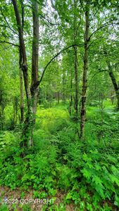 6437 N Solitude St, Wasilla, AK, 99623