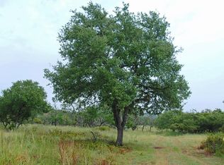 284 Painted Pony Rd, Harper, TX 78631