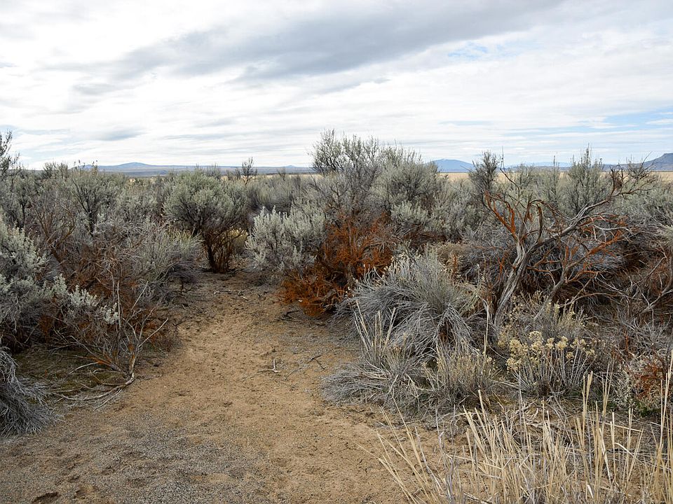 1st image of Willa Rd #3