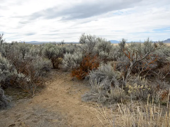 Willa Rd #3, Christmas Valley, OR 97641