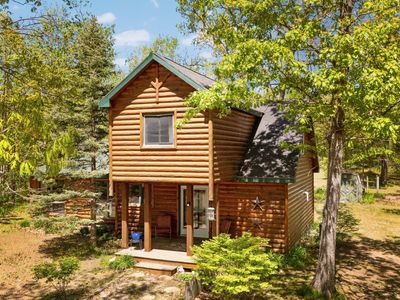 5466 Big Wolf Ln, Lewiston, MI, 49756