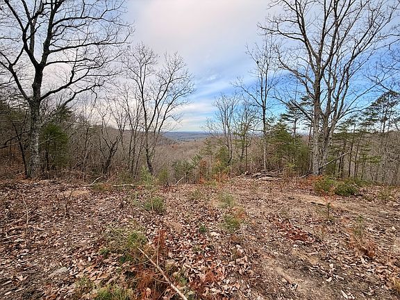 5th image of Laurel Bluff Rd Lot Wp002