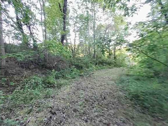 5th image of 217 Coal Chute Rd