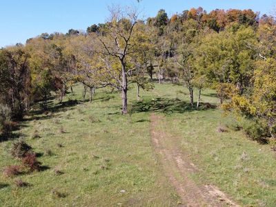 Harley O Staggers Dr, Keyser, WV, 26726