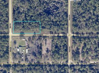 10730 Zigler Ave, Hastings, FL 32145