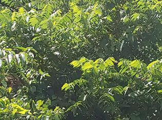 Lake White Rd, Waverly, OH 45690