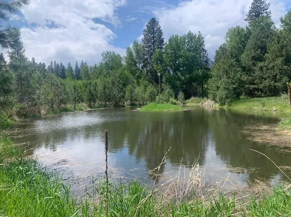 279 Moose Run Ln, Hamilton, MT 59840