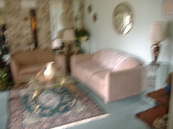 Beautiful Living Room