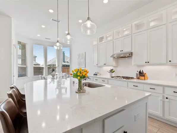 10104 Bitterroot Dr, Oak Pt, TX 75068
