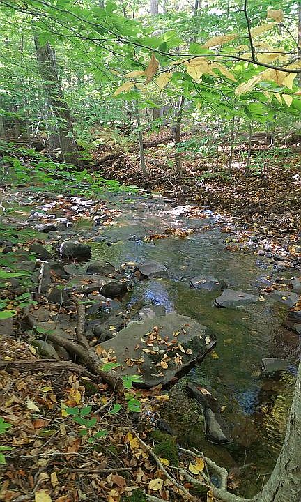 Creek