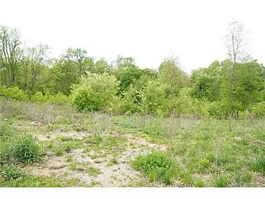 359 Dixon Blvd photo 1