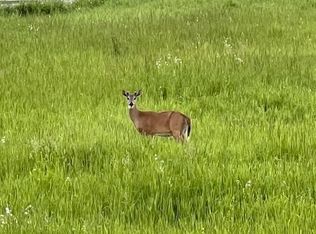 280th St E, Webster, MN 55088