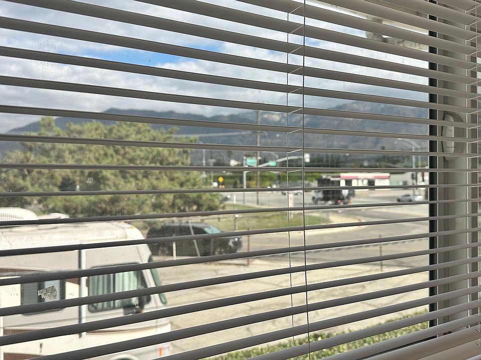 View from the kitchen window