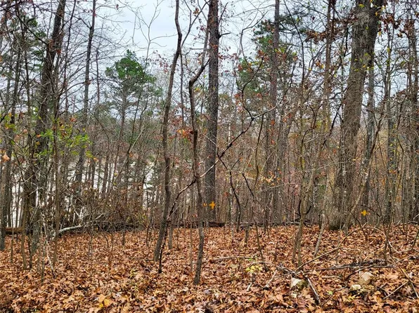 0 County Road 417, Ellington, MO 63638