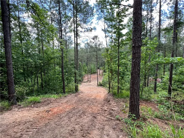 14304 Hargrove Rd E #7, Cottondale, AL 35453