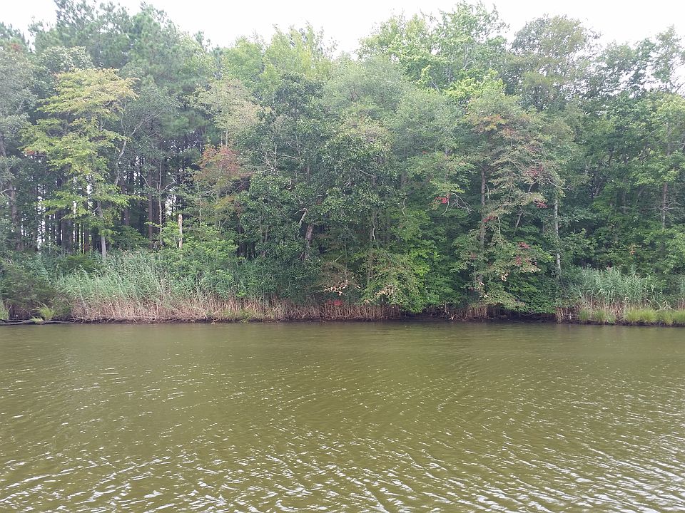 Water and nature views
