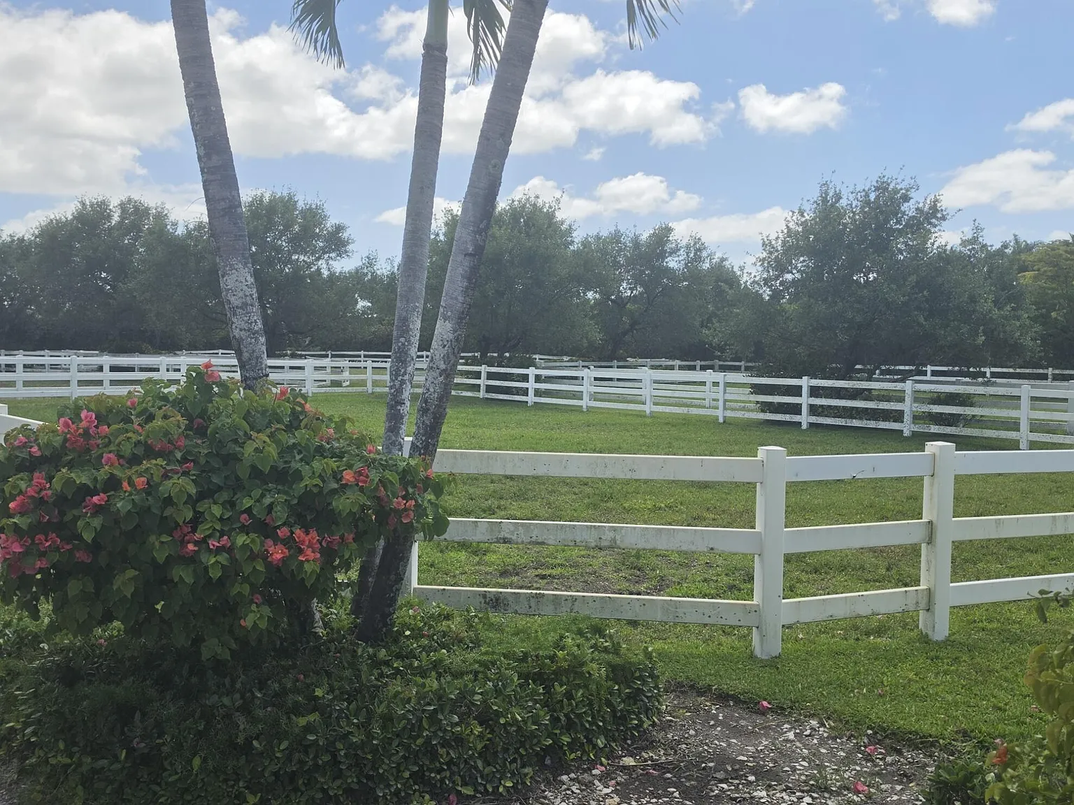 1 bed, 1.5 bath, 2422 sqft, $3,000 — Photo 3