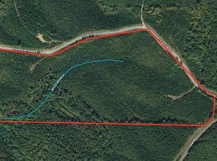 County Road 804, Wedowee, AL 36278