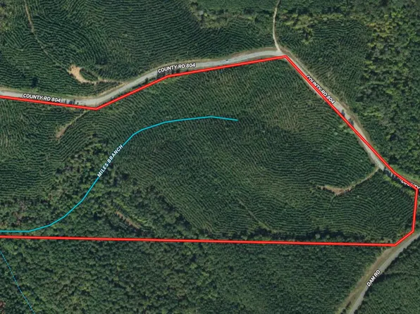 County Road 804, Wedowee, AL 36278