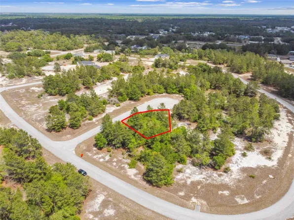 602 HOMOSASSA WAY, KISSIMMEE, FL 34759