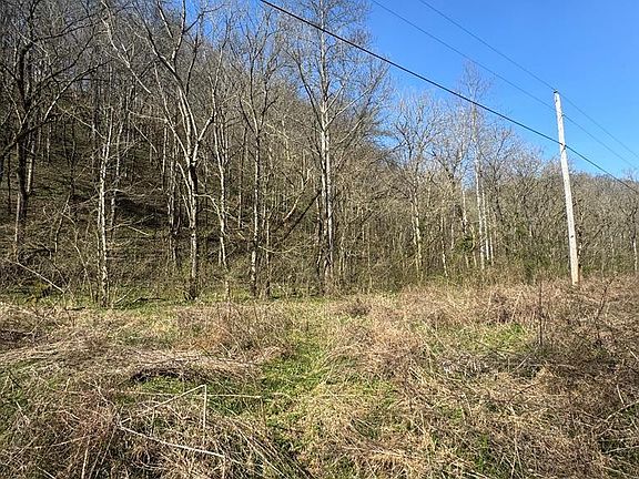 3rd image of 0 Pine Lick Rd