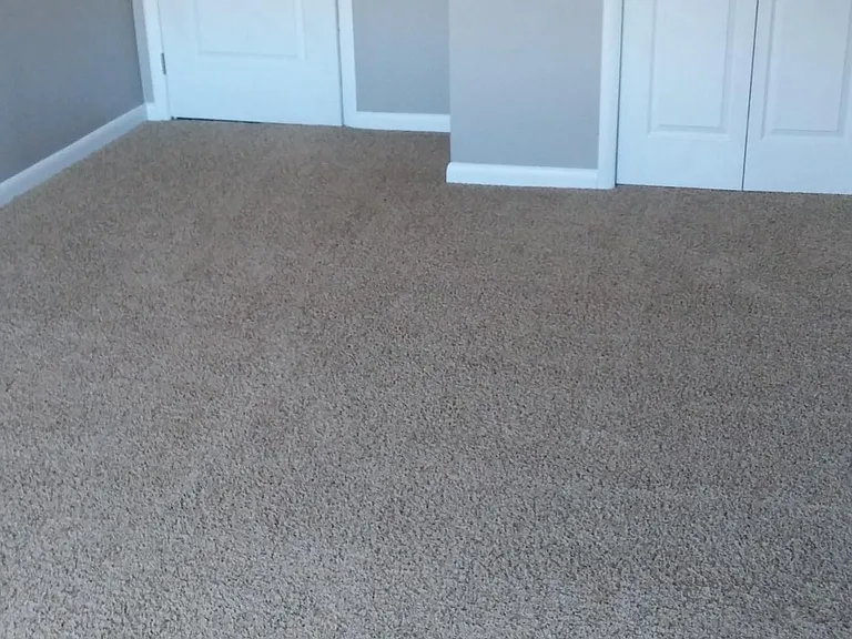 Floors in living room are hard surface plank now, same color on wall.