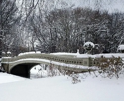 Rented by Citi Habitats | media 31