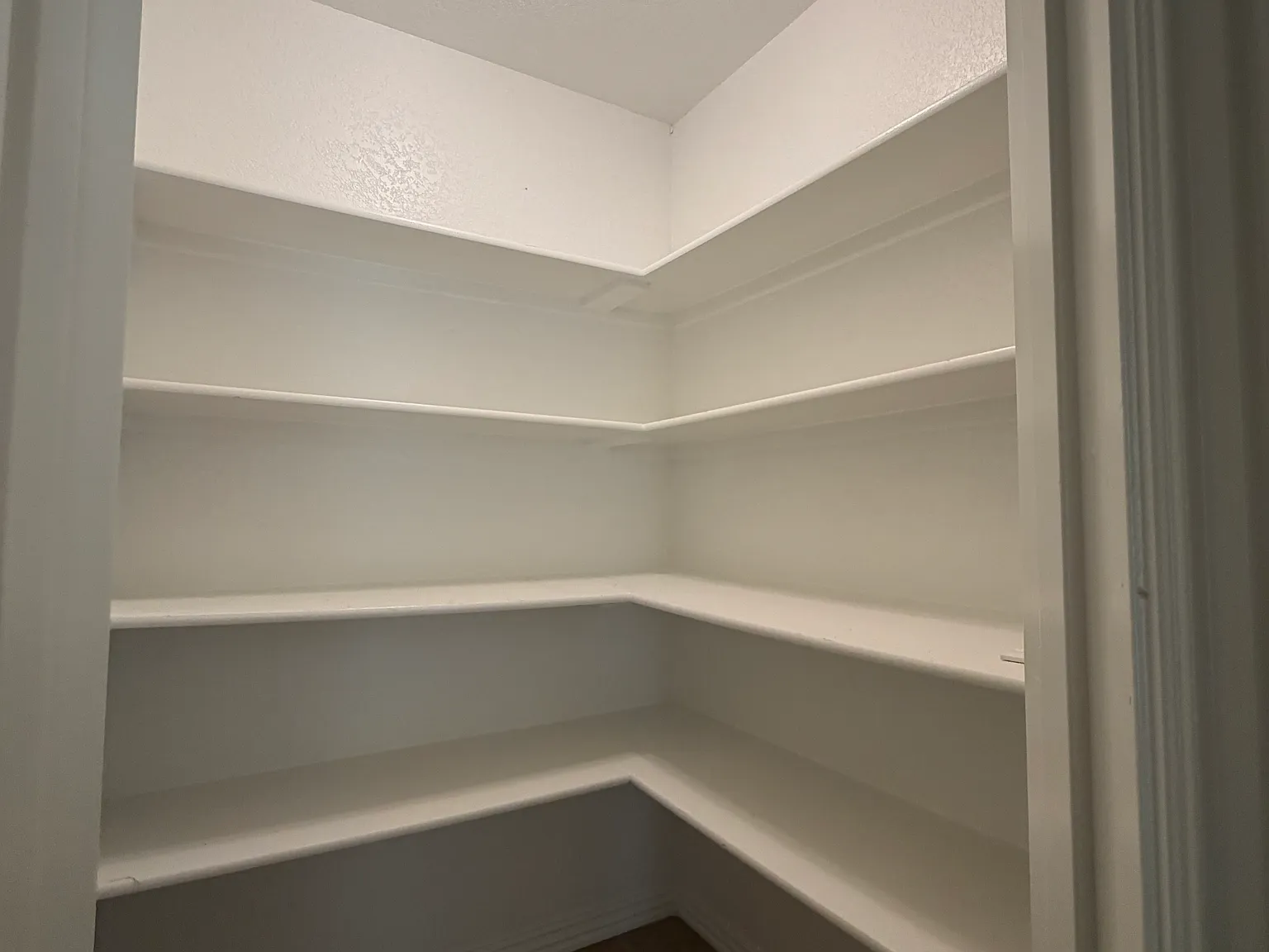 3 bed, 1650 sqft, $2,000 — Photo 4