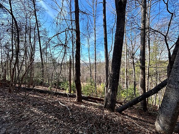5th image of LOT-70R Tara Dr