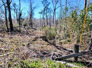 None Dead River Rd, Uvalda, GA 30473