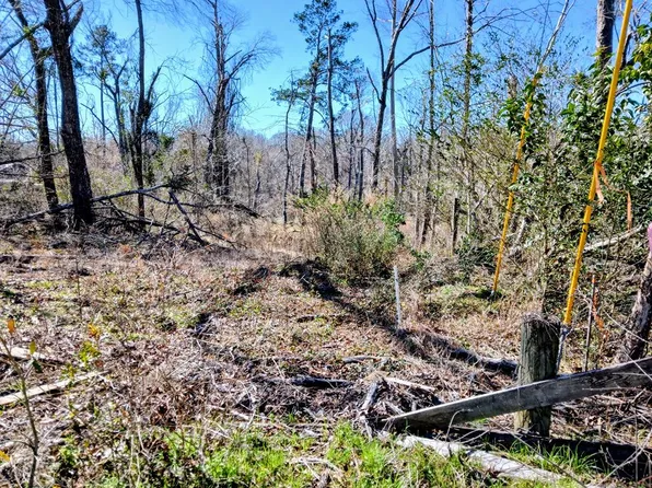 None Dead River Rd, Uvalda, GA 30473