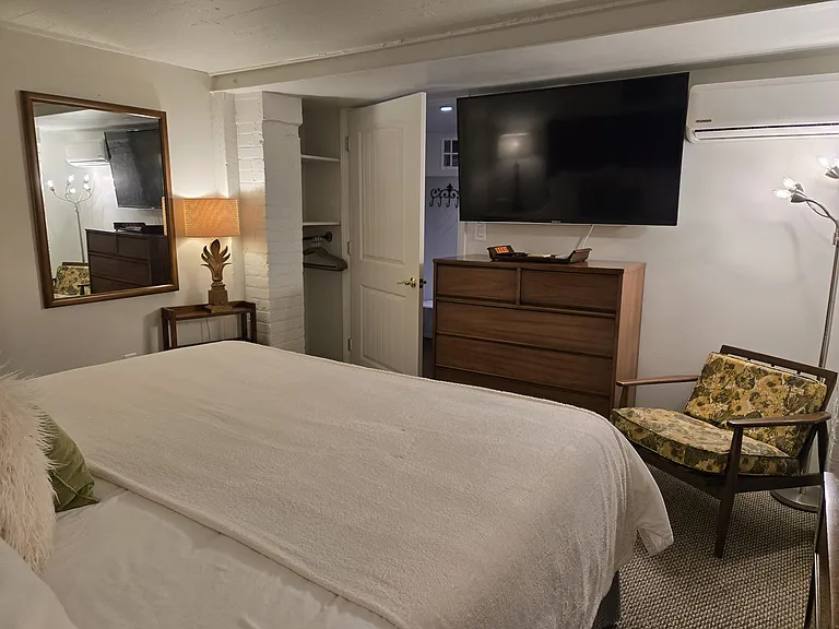 Bedroom with Small Closet and TV with Roku