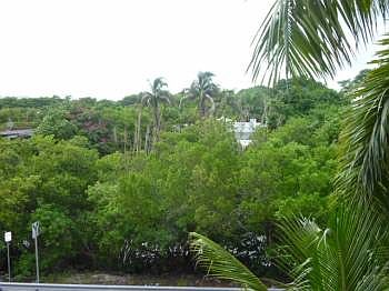 1st image of 2642 Collins Ave APT 312