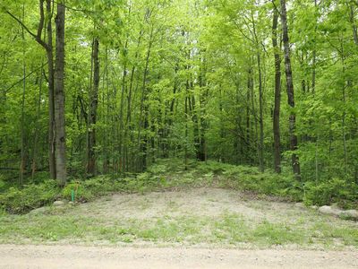 Lakeside Trl, Shepherd, MI, 48883