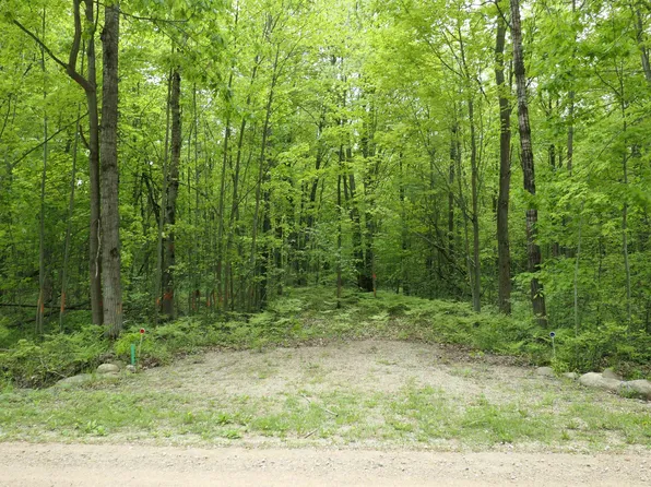 Lakeside Trl, Shepherd, MI 48883