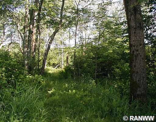 3rd image of W232 South Fork Road