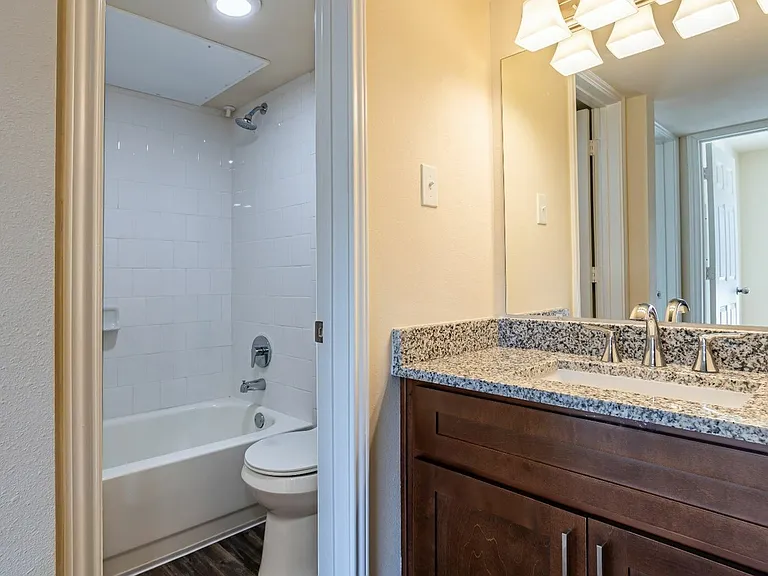 Renovated Primary Bathroom