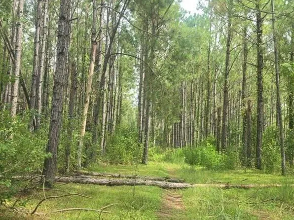 5679 Clyattville Lake Park Rd, Valdosta, GA 31601