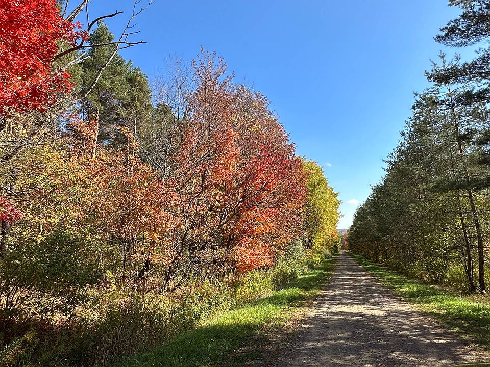 Johnson Hill Rd LOT III3, Swain, NY 14884 MLS 11237487 Zillow