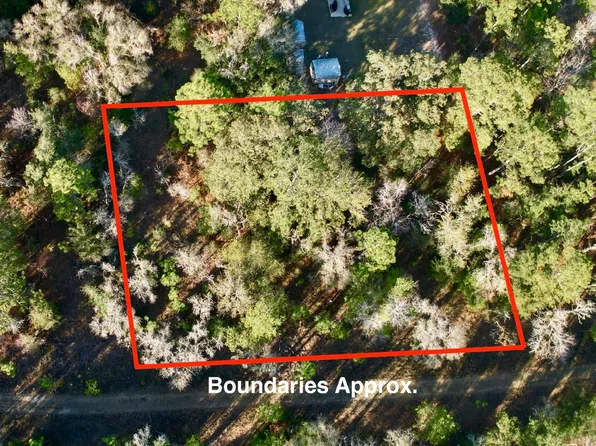 NE 16th Ln, Williston, FL 32696