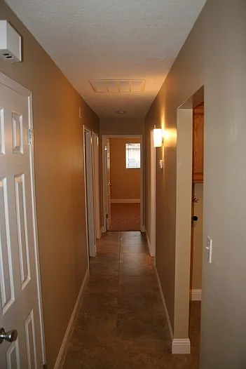 3509 Cardamon Dr — Photo 5
