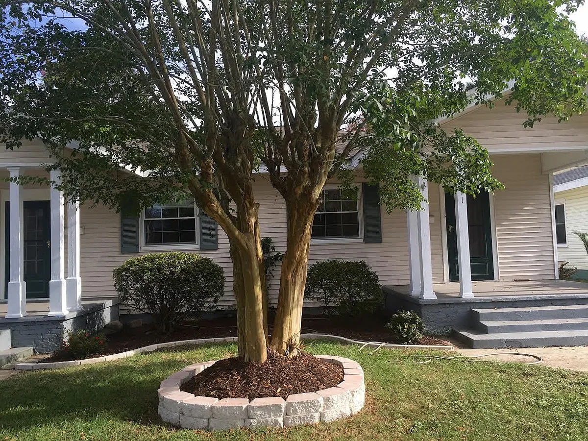 Exterior - 1611 E Cervantes St