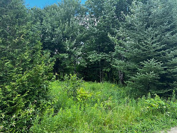 5th image of 11 Davis Brook Road