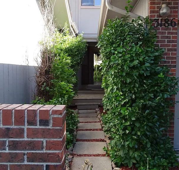 3186 Westwood Ct — Photo 19