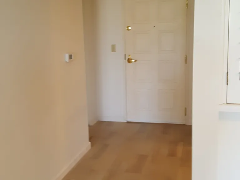 550 Ortega Ave — Photo 15