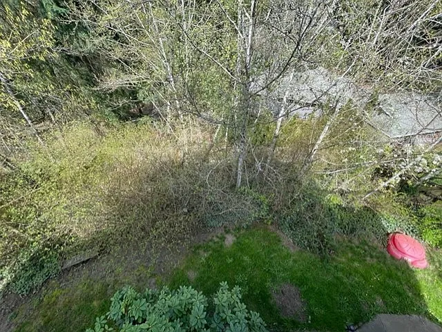 13543 SW Lauren Ln — Photo 54