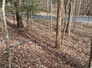 L137r Shiloh Ct, Ellijay, GA 30540