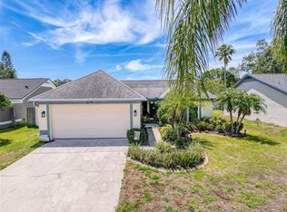 3074 Cara Ct, Palm Harbor, FL 34684