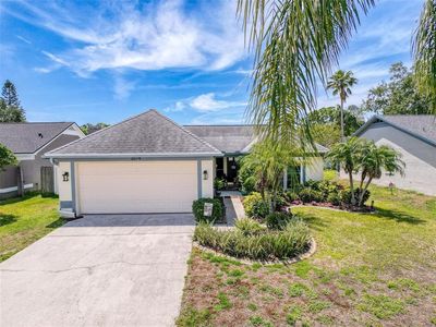 3074 Cara Ct, Palm Harbor, FL, 34684