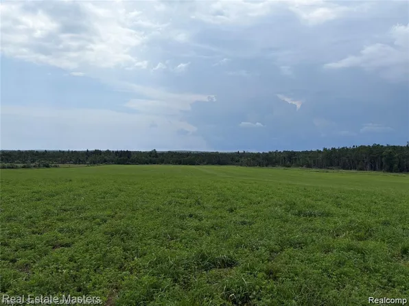 300 W Hubert Rd, Spruce, MI 48762